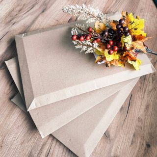 Podzim je moje nejoblíbenější období - zejména rozkvět těch nádherných barev listí a stromů venku. 🍂 A pokud do toho svítí...